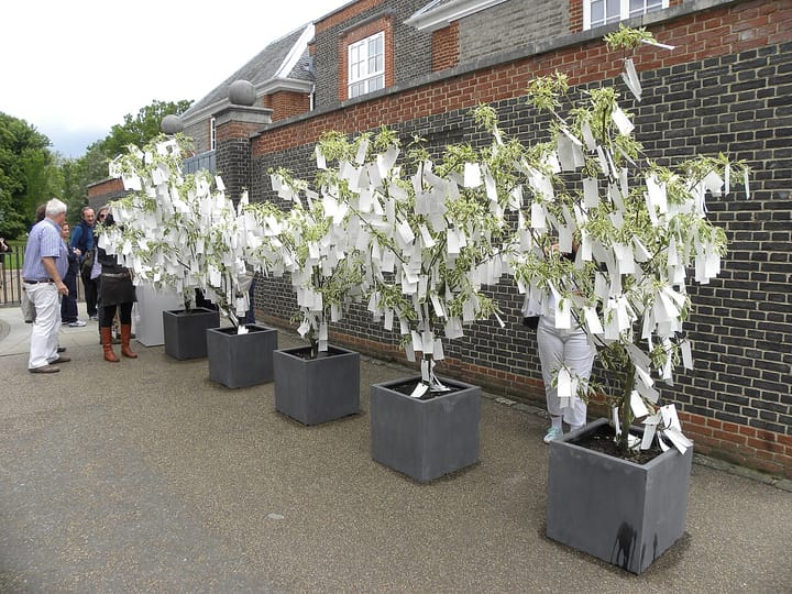 White Mirror - Digital Ambitions